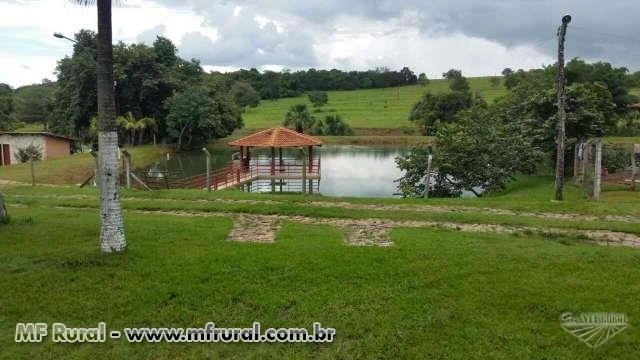 Fazenda de 35 alq. (169 ha.) no município do Varjão Go