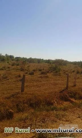 Fazenda de 665 alq.(3.218 ha.) no mun. da Lagoa da Confusão