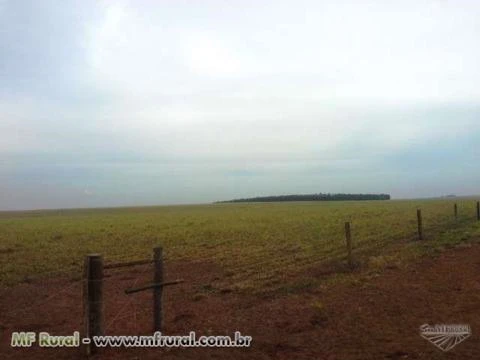 Fazenda de 3.100 alq.(15.000 ha.) na região de Rondonópolis-MT