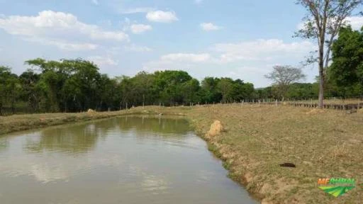 Fazenda de 35 alq. (169 ha.) no município do Varjão