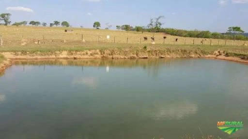 Fazenda de 35 alq. (169 ha.) no município do Varjão