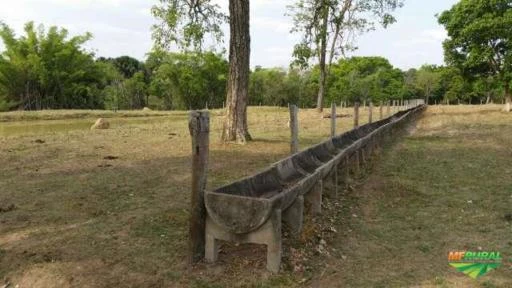 Fazenda de 35 alq. (169 ha.) no município do Varjão