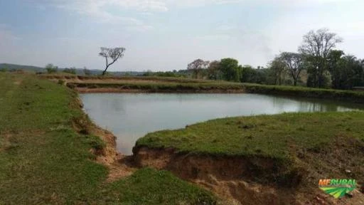 Fazenda de 35 alq. (169 ha.) no município do Varjão