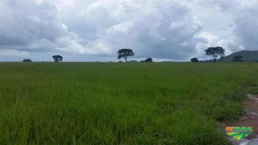 Fazenda de 35 alq. (169 ha.) no município do Varjão