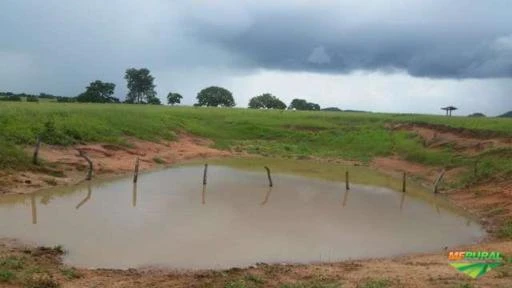 Fazenda de 35 alq. (169 ha.) no município do Varjão