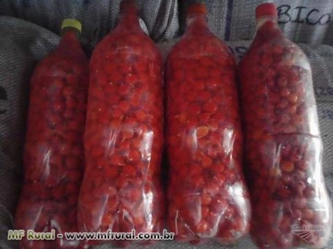 Pimenta Biquinho Imagem Pimenta Biquinho