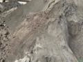 Varredura de Fertilizante NPK Imagem Varredura de Fertilizante NPK