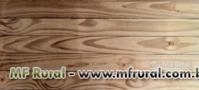 DECK E ASSOALHO PINUS TRATADO Imagem DECK E ASSOALHO PINUS TRATADO