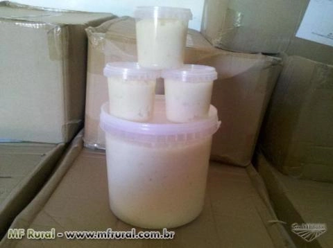 ALHO TRITURADO Imagem ALHO TRITURADO