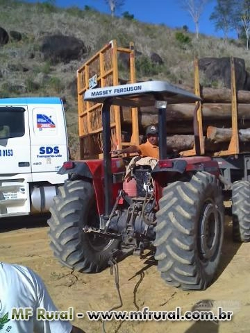 COMPRAS TORAS DE EUCALIPTO, COMPRAS DE EUCALIPTO Imagem COMPRAS TORAS DE EUCALIPTO, COMPRAS DE EUCALIPTO