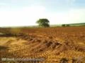 Fazenda com 491 hectares em Marilia - SP