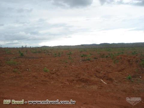 Fazenda No Município de Bocaiuva - MG com 700 hectares